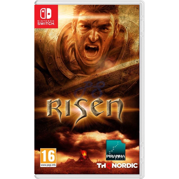 risen nintendo switch