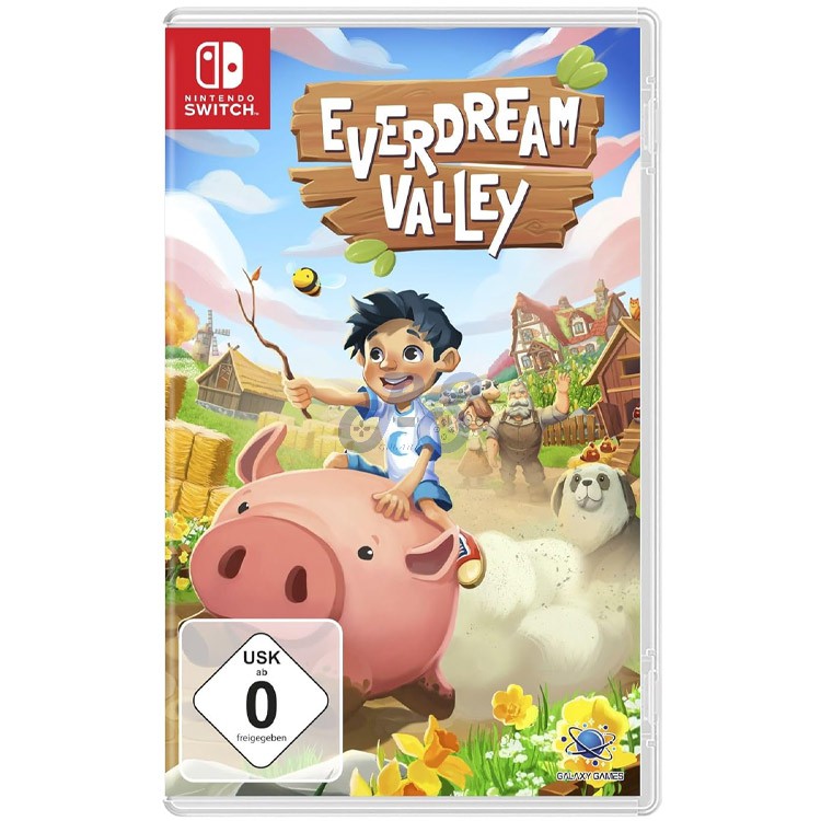 everdream valley nintendo switch
