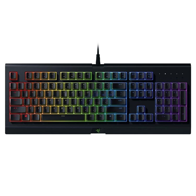 razer keyboard Cynosa Chroma