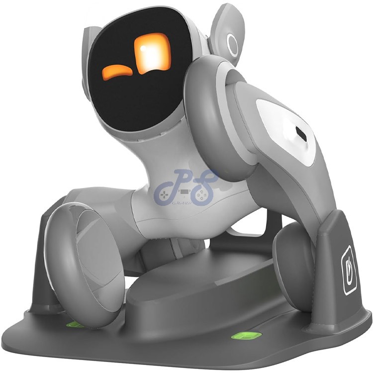 petbot loona with charging dock
